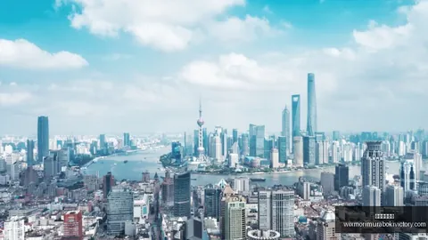 阿森纳欧冠奖杯路漫漫：缺乏关键因素成难题