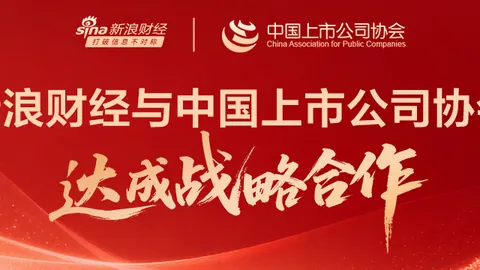 网易游戏新版本，新英雄玩法引热议